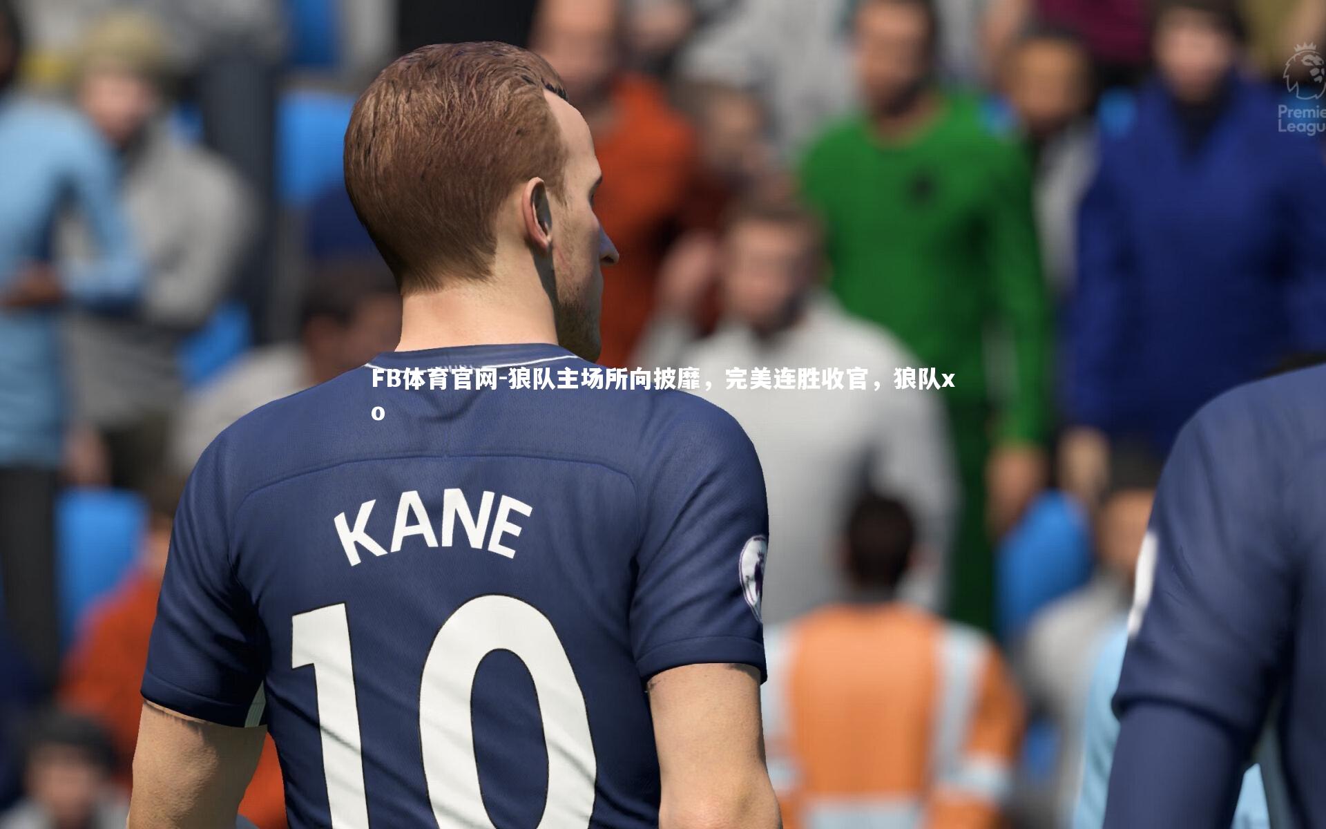 狼队主场所向披靡,完美连胜收官,狼队xo